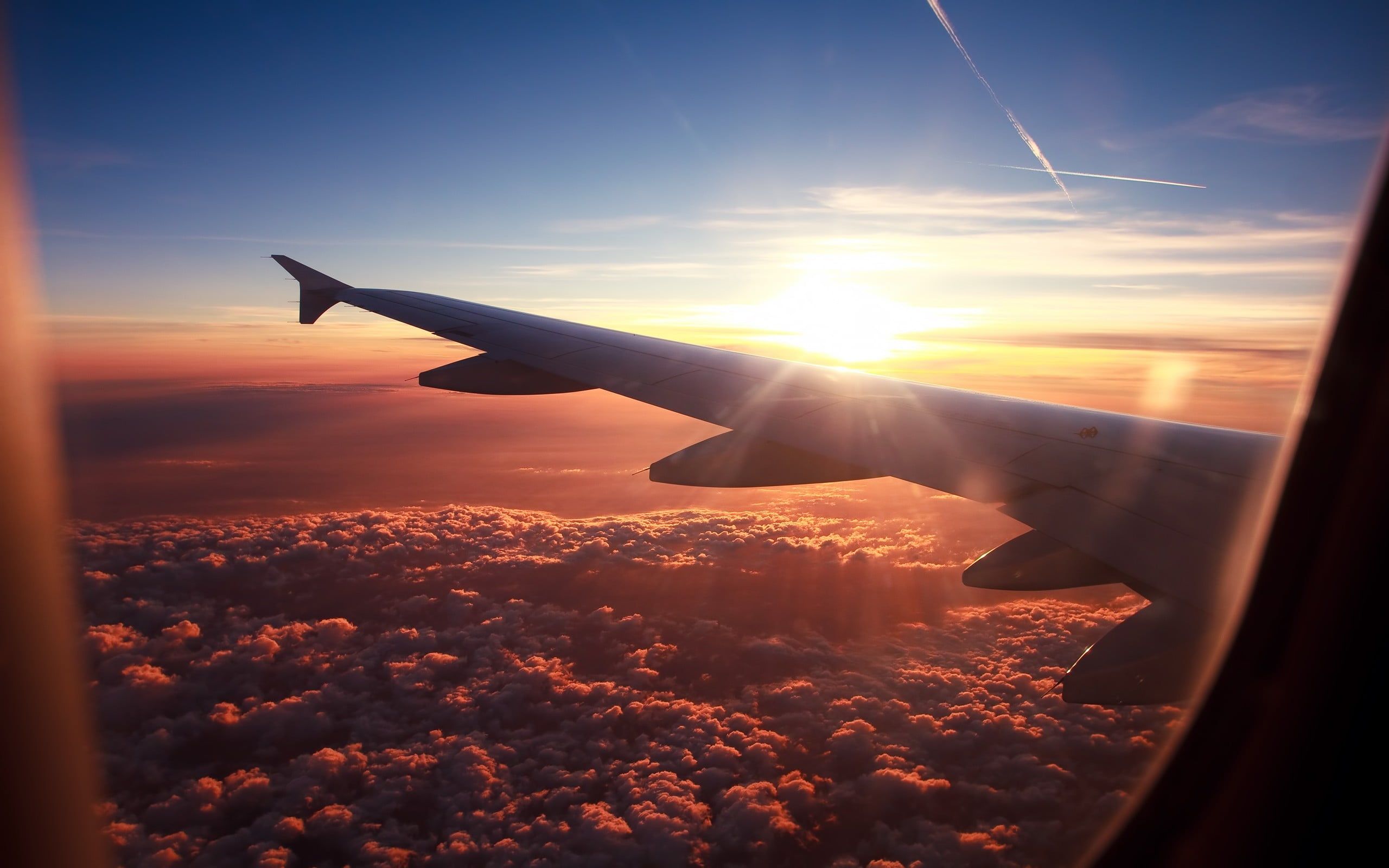 Travel Trends